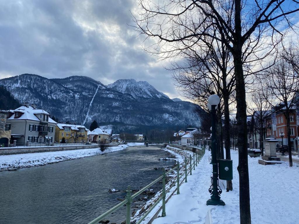 Ferienappartment Zum Gruenen Hirsch Bad Ischl Dış mekan fotoğraf